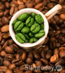 Зеленый кофе для похудения